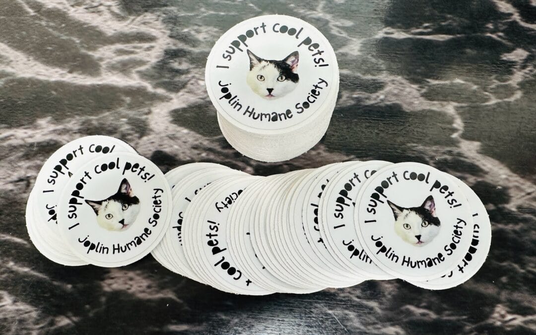 Purr-fect Stickers for a Great Cause