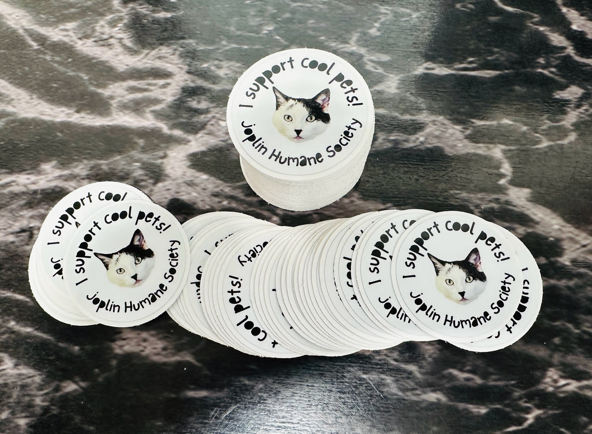 Custom die-cut stickers designed and printed for the Joplin Humane Society, with the phrase “I Support Cool Pets